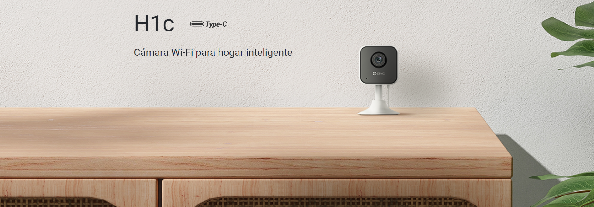 Domestic Wifi Camara